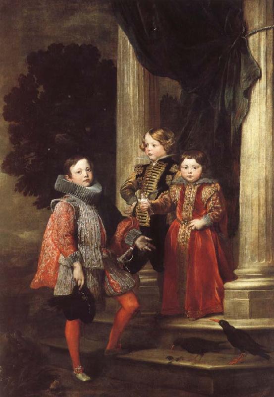 Anthony Van Dyck The Balbi Children oil painting image